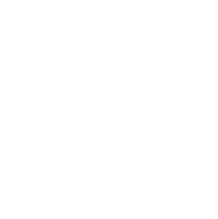 Bali Asli